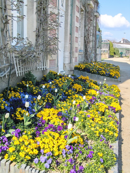 File:P1040794 Jardin des plantes Nantes.JPG - Wikimedia Commons